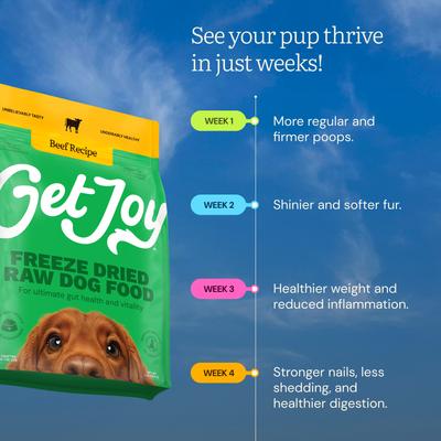 Show full view: Get Joy Beef Recipe Human-Grade All Life Stages Freeze-Dried Raw Dog Food, 32-oz bag slide 6 of 12