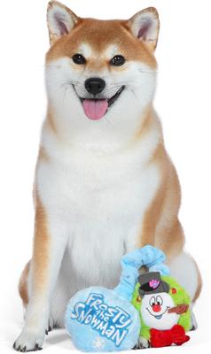 Show full view: Fetch For Pets Christmas WB Holiday Frosty The Snowman Plush Bungee Dog Toy slide 4 of 4