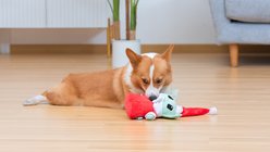 Fetch For Pets Christmas Star Wars Holiday Grogu Santa Squeaky Plush Dog Toy slide 2 of 4