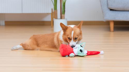 Show full view: Fetch For Pets Christmas Star Wars Holiday Grogu Santa Squeaky Plush Dog Toy slide 4 of 4