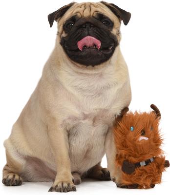 Show full view: Fetch For Pets Christmas Star Wars Holiday Chewbacca Reindeer Squeaky Plush Dog Toy slide 4 of 5