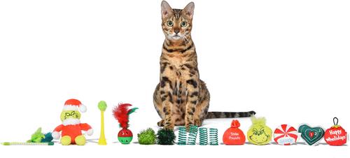 Show full view: Fetch For Pets Christmas Dr. Seuss The Grinch Holiday 12-Day Advent Calendar Squeaky Plush Cat Toy slide 4 of 4