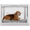 Show in main carousel: Diggs Snooz Dog Crate Pad, Grey, Medium slide 2 of 5