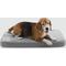 Show in main carousel: Diggs Snooz Dog Crate Pad, Grey, Medium slide 3 of 5
