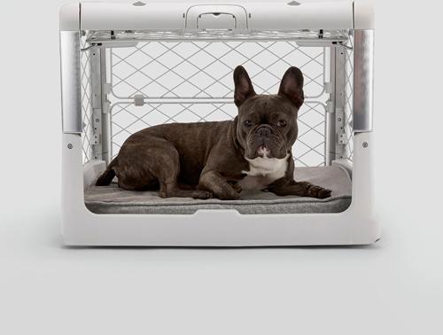 Show full view: Diggs Snooz Dog Crate Pad, Grey, Small slide 2 of 5