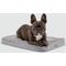 Show in main carousel: Diggs Snooz Dog Crate Pad, Grey, Small slide 1 of 5