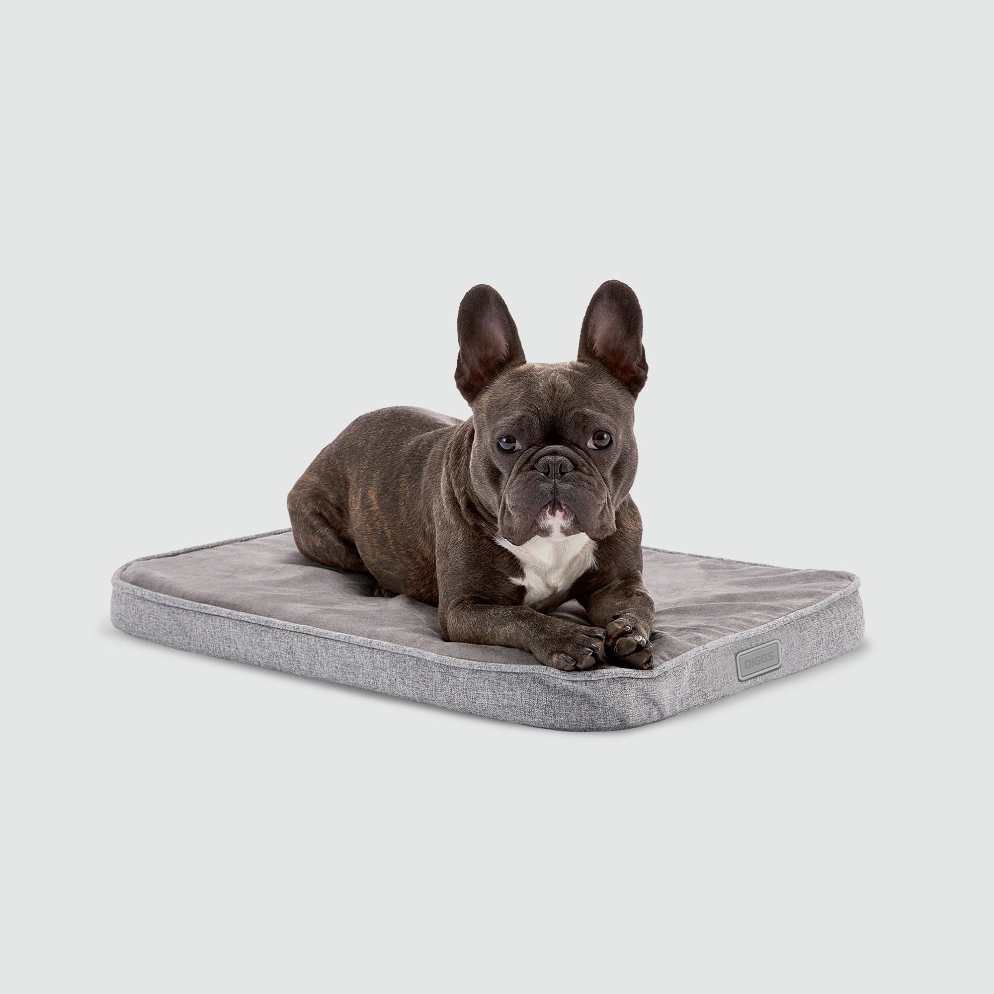 Questions and Answers about DIGGS Snooz Dog Crate Pad