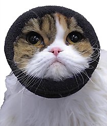 Happy Hoodie Thunder Grooming Fireworks Calming Band for Dogs & Cats, Black, X-Small slide 1 of 9