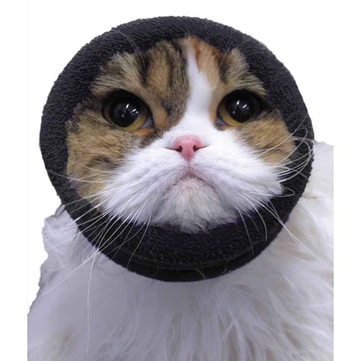 Happy Hoodie Thunder Grooming Fireworks Calming Band for Dogs & Cats, Black, X-Small
