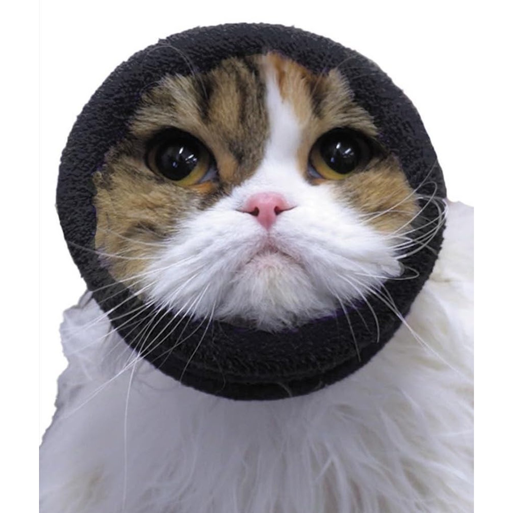 Happy Hoodie Happy Hoodie Thunder Grooming Fireworks Calming Band for Dogs & Cats, Black, X-Small