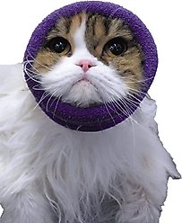 Happy Hoodie Thunder Grooming Fireworks Calming Band for Dogs & Cats, Purple, X-Small slide 1 of 9