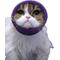Show in main carousel: Happy Hoodie Thunder Grooming Fireworks Calming Band for Dogs & Cats, Purple, X-Small slide 1 of 15
