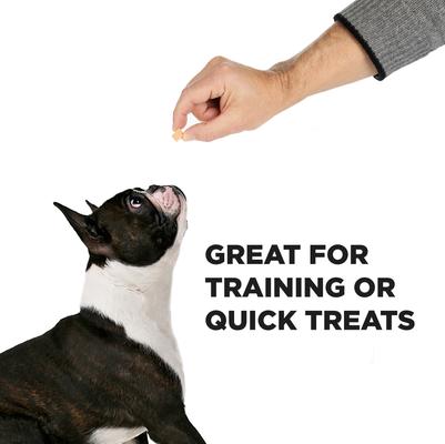 Show full view: Project Hive Pet Company Bites Vegetarian Peanut Butter Flavor Crunchy Dog Treats, 12-oz bag slide 5 of 9