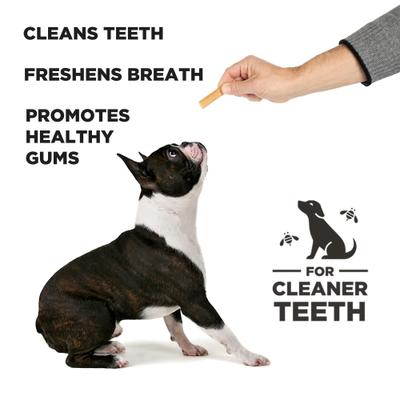 Show full view: Project Hive Pet Company Hive Dental Stick Dog Chew Treat, Small, 12-oz bag slide 5 of 8