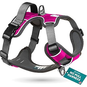Embark Harness Co. Adventure No Pull Dog Harness, Pink, Medium
