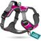 Show in main carousel: Embark Harness Co. Adventure No Pull Dog Harness, Pink, Small slide 1 of 10