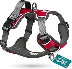 Embark Harness Co. Adventure No Pull Dog Harness, Red, Small