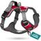 Show in main carousel: Embark Harness Co. Adventure No Pull Dog Harness, Red, Large slide 1 of 8