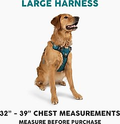 Embark Harness Co. Adventure No Pull Dog Harness, Teal, Large slide 2 of 9