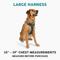 Show in main carousel: Embark Harness Co. Adventure No Pull Dog Harness, Teal, Large slide 2 of 10