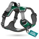 Embark Harness Co. Adventure No Pull Dog Harness, Green, Large