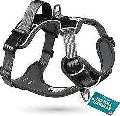 Embark Harness Co. Adventure No Pull Dog Harness, Black, Large slide 1 of 8