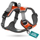 Embark Harness Co. Adventure No Pull Dog Harness, Orange, Medium