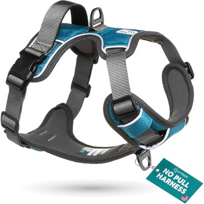 Embark Harness Co. Embark Harness Co. Adventure No Pull Dog Harness, Teal, Large