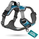 Embark Harness Co. Adventure No Pull Dog Harness, Teal, Small