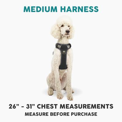 Show full view: Embark Harness Co. Adventure No Pull Dog Harness, Black, Medium slide 2 of 4