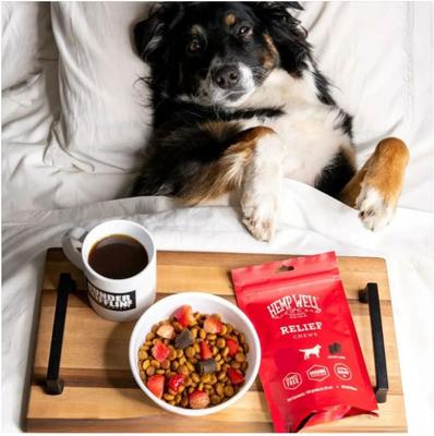 Show full view: Hemp Well Relief Broad Spectrum Extract Soft Chews Supplement for Dogs, 30 count slide 5 of 5