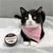 Show in main carousel: Hemp Well Cat & Dog Skin, Nose & Paw Hemp Balm, 2-fl oz tin slide 7 of 9