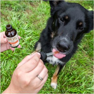 Show full view: Hemp Well Immune Liquid Supplement for Dogs & Cat, 2-fl oz bottle slide 5 of 10