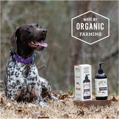 Hemp Well Hemp Thrive Liquid Cat & Dog Supplement