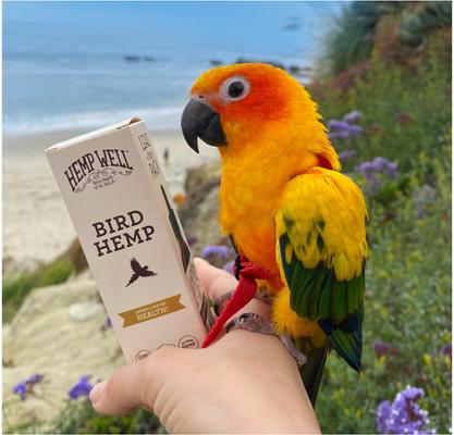 Show full view: Hemp Well Bird Hempseed Oil Bird Supplement, 2-fl oz bottle slide 4 of 9