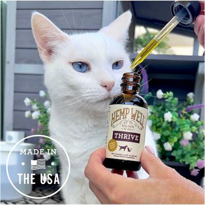 Show full view: Hemp Well Hemp Thrive Liquid Cat & Dog Supplement, 2-fl oz bottle slide 8 of 11