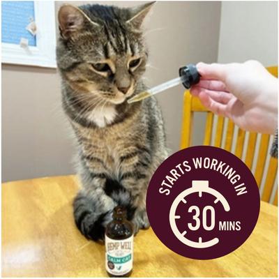 Show full view: Hemp Well Calm Cat Anxiety Relief Liquid Cat Supplement, 2-fl oz bottle slide 5 of 10