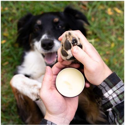 Show full view: Hemp Well Cat & Dog Skin, Nose & Paw Hemp Balm, 2-fl oz tin slide 4 of 9