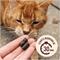 Show in main carousel: Hemp Well Calming Soft Chew Supplement for Cats, 60 count slide 6 of 11