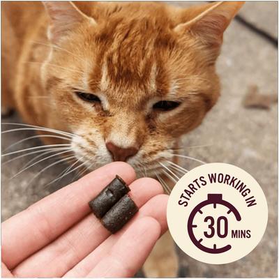 Show full view: Hemp Well Calming Soft Chew Supplement for Cats, 60 count slide 6 of 11