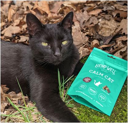 Show full view: Hemp Well Calming Soft Chew Supplement for Cats, 60 count slide 8 of 11