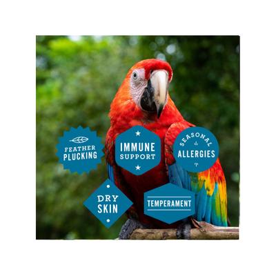 Show full view: Hemp Well Bird Hemp Hearts Bird Supplement, 8-oz bag slide 6 of 8