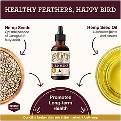 Hemp Well Bird Hempseed Oil Bird Supplement, 2-fl oz bottle slide 2 of 9