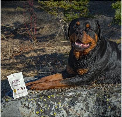 Show full view: Hemp Well Hemp Thrive Soft Chew Dog Supplement, 8 count slide 10 of 10