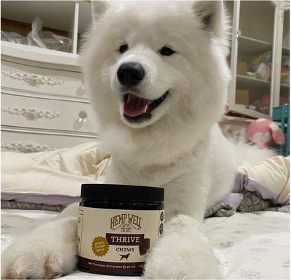 Show full view: Hemp Well Hemp Thrive Soft Chew Dog Supplement, 60 count slide 5 of 10