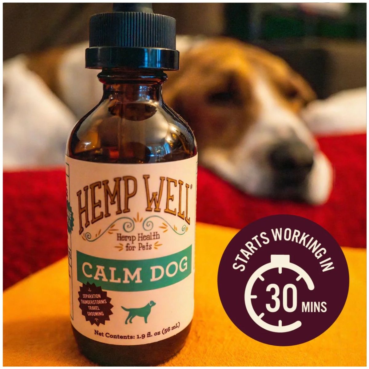 Hemp Well Calm Dog Oil Anxiety Relief Liquid Dog Supplement, 2-fl oz bottle