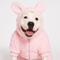 Show in main carousel: Found My Animal Bunny Suit Dog Costume, Tulip Pink, Large slide 6 of 7