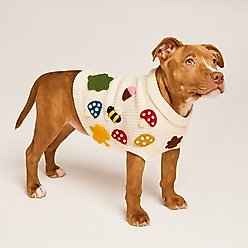 Found My Animal Fall Leaves Dog Sweater, Small