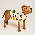 Found My Animal Fall Leaves Dog Sweater, X-Large