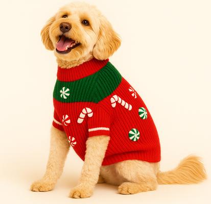 Show full view: Found My Animal Christmas Candy Dog Sweater, Large slide 4 of 6